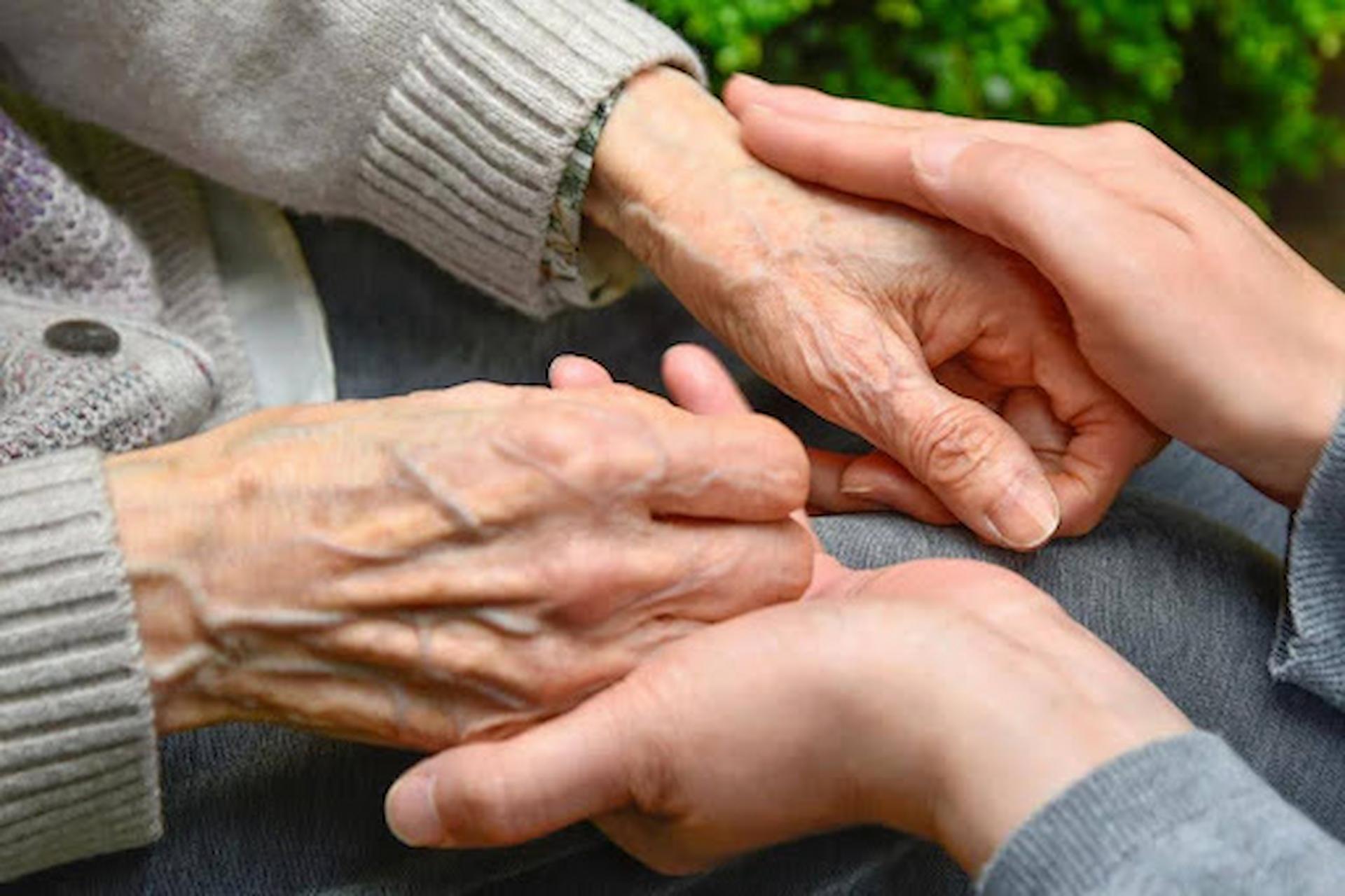 Companionship Care